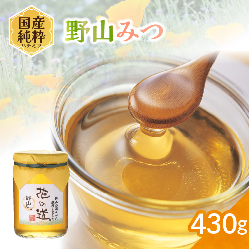 国産純粋蜂蜜 野山みつ 430g 非加熱 はちみつ ハチミツ 生はちみつ ローハニー オススメ 贈答 贈り物 プレゼント 八女市