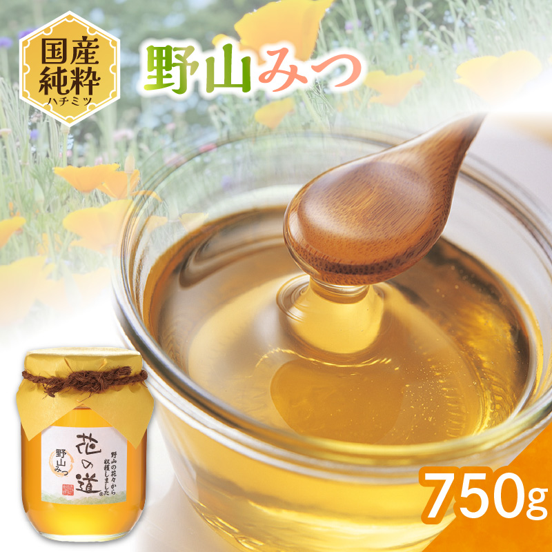 国産純粋蜂蜜 野山みつ 750g 非加熱 はちみつ ハチミツ 生はちみつ ローハニー オススメ 贈答 贈り物 プレゼント 八女市