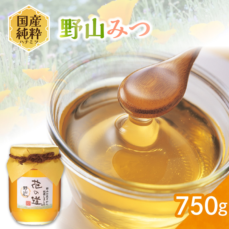 国産純粋蜂蜜 野山みつ 750g 非加熱 はちみつ ハチミツ 生はちみつ ローハニー オススメ 贈答 贈り物 プレゼント 八女市