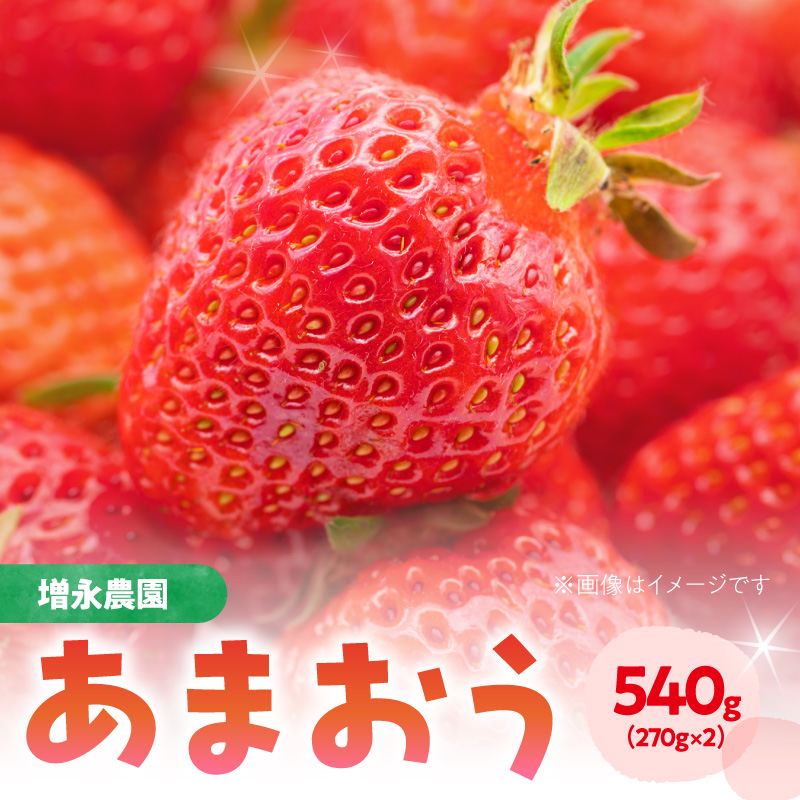 【増永農園】 あまおう 270g×2パック 【2026年1月より順次発送】  ジューシー フレッシュ 苺 果物 くだもの スイーツ作り 数量限定 イチゴ 期間限定 美味しい いちご 福岡県 八女市