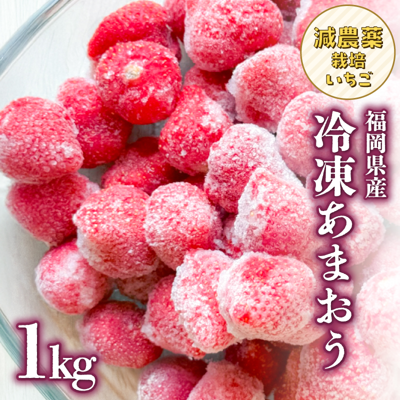 冷凍いちご 500g×2パック【大月いちご園】  あまおう いちご 苺 イチゴ フルーツ くだもの 朝採り 冷凍 アレンジ 小分け 食べきり 福岡県 八女市