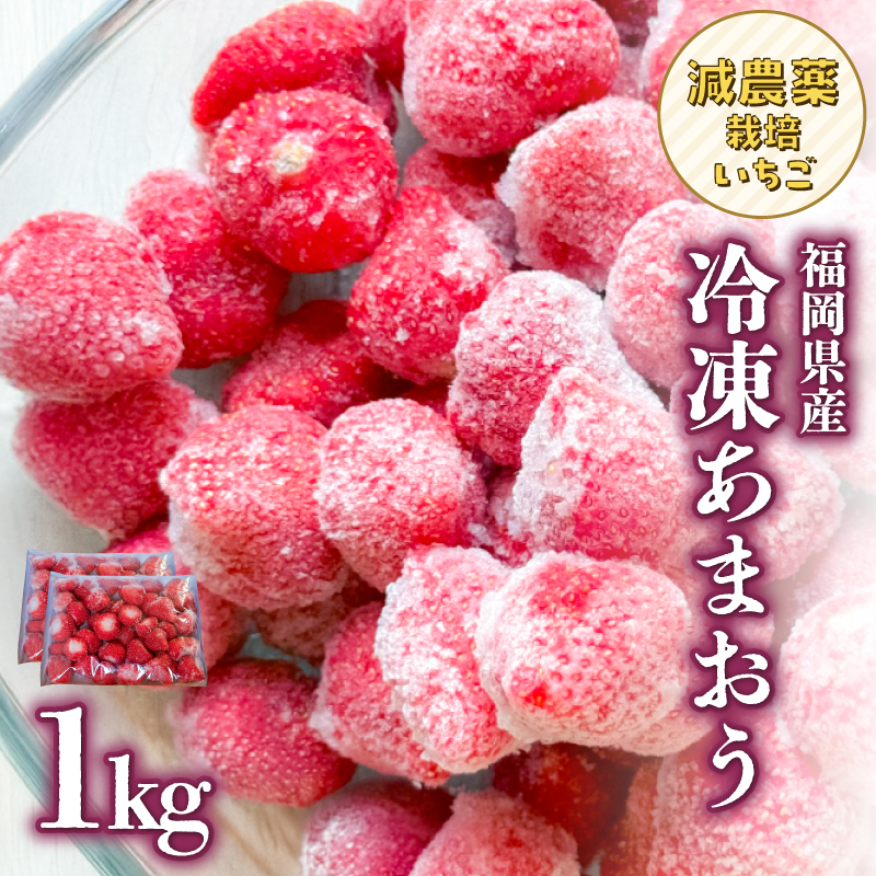 冷凍いちご 500g×2パック【大月いちご園】  あまおう いちご 苺 イチゴ フルーツ くだもの 朝採り 冷凍 アレンジ 小分け 食べきり 福岡県 八女市
