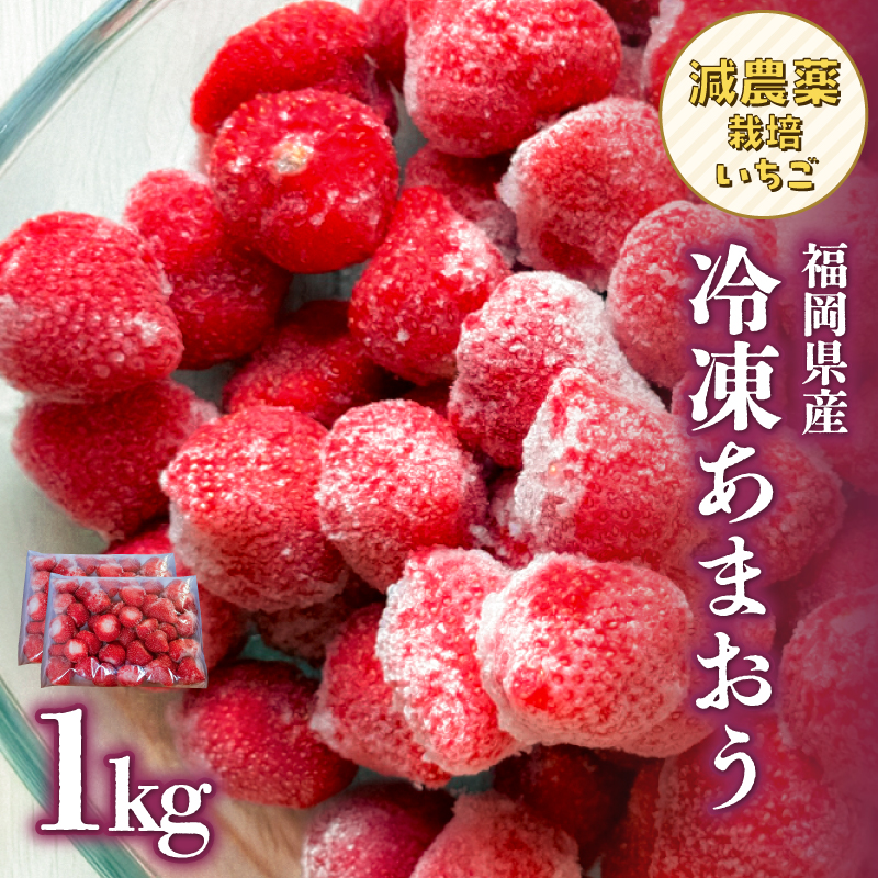 冷凍いちご 500g×2パック【大月いちご園】  あまおう いちご 苺 イチゴ フルーツ くだもの 朝採り 冷凍 アレンジ 小分け 食べきり 福岡県 八女市