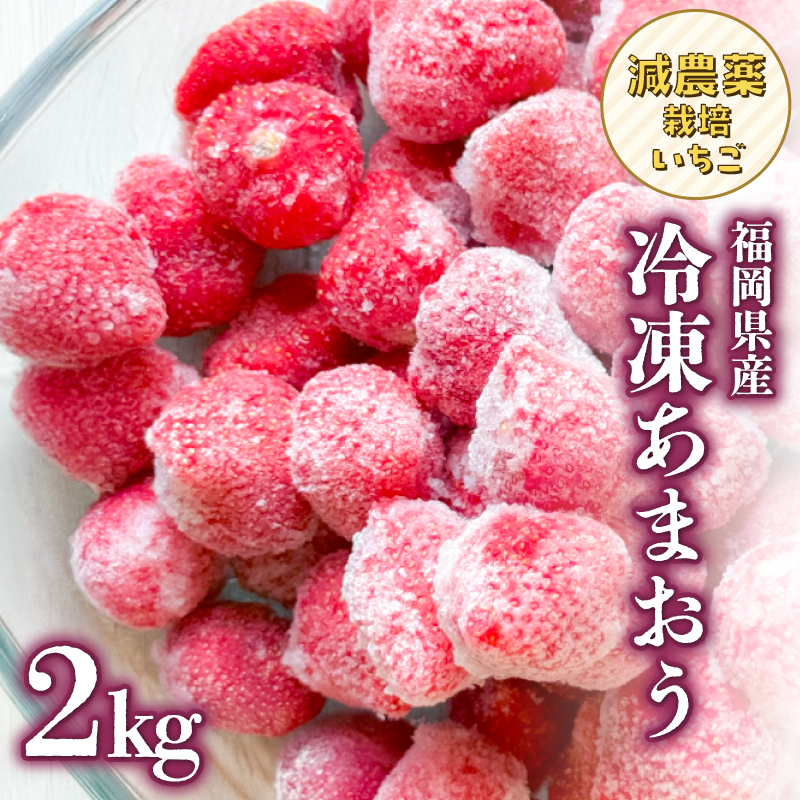 冷凍いちご 500g×4パック 【大月いちご園】 イチゴ 苺 あまおう 冷凍 2kg 大容量 果物 九州 国産 フルーツ スムージー ジャム 福岡県 八女市