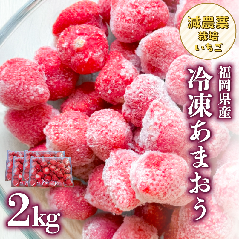 冷凍いちご 500g×4パック 【大月いちご園】 イチゴ 苺 あまおう 冷凍 2kg 大容量 果物 九州 国産 フルーツ スムージー ジャム 福岡県 八女市