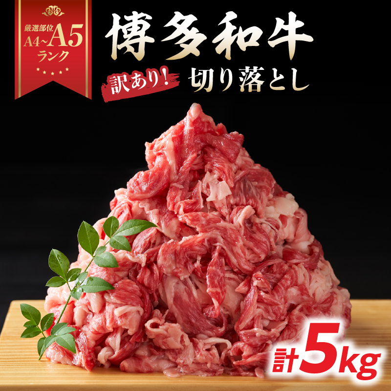 訳あり！【A4～A5】博多和牛切り落とし 5kg(500g×10P）  博多和牛 しゃぶしゃぶ すき焼き 肩 バラ 和牛 国産 牛肉 牛 A4 A5