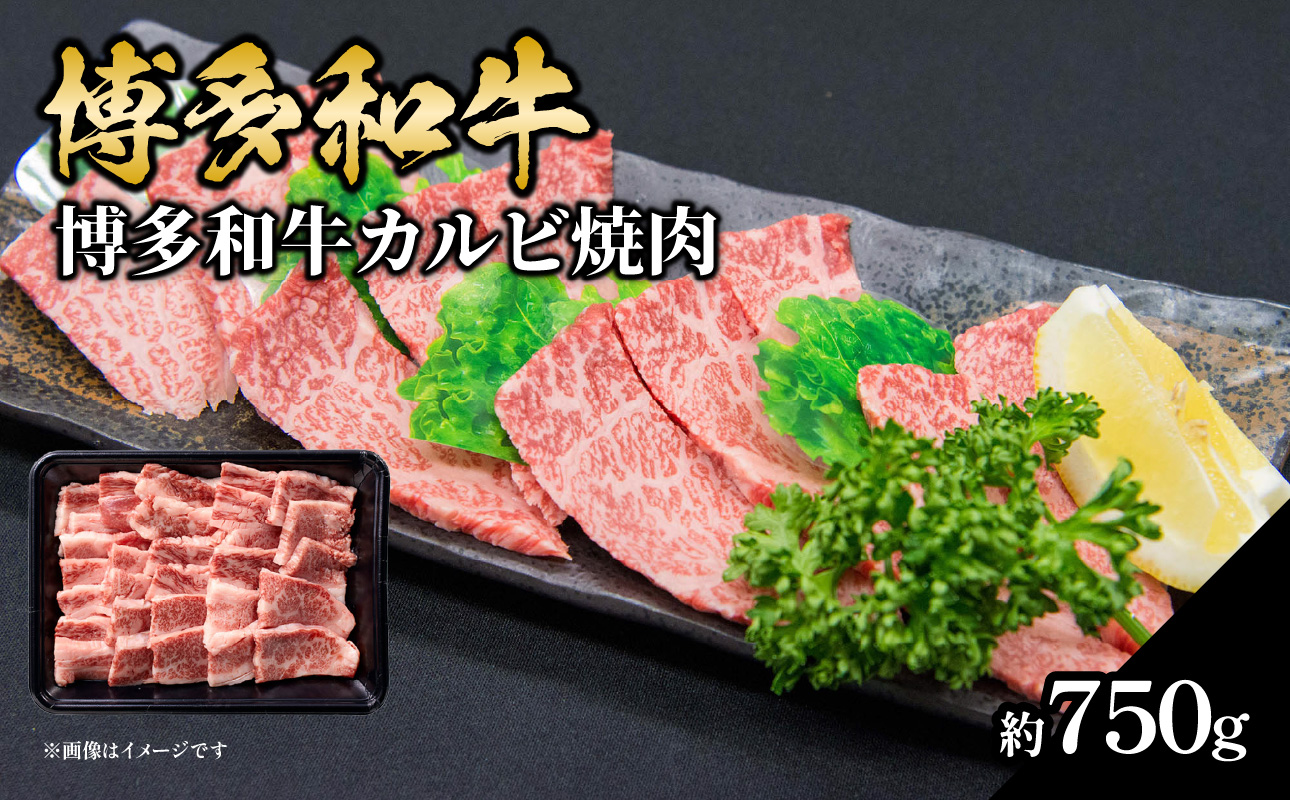 博多和牛 カルビ焼肉 約750g 国産 黒毛和牛 肉 お肉 博多和牛 和牛 牛肉 カルビ バラ 国産 3～5人前 冷凍 冷凍配送 使い切りサイズ 霜降り 絶品 濃厚 柔らかい ジューシー 焼肉 家族団らん 大容量 福岡県 八女市