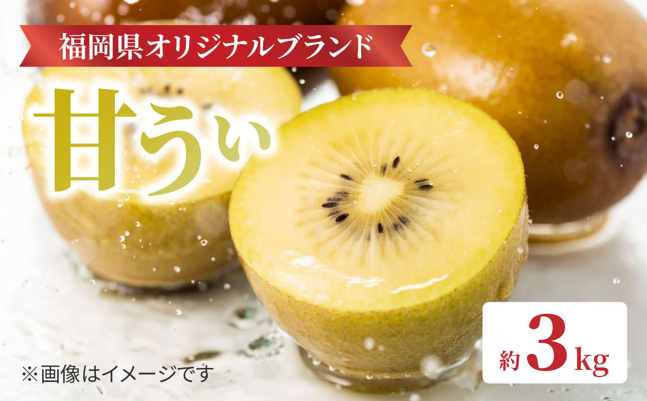 【先行受付：2025年11月頃発送開始】「フルーツ王国福岡・八女」からお届け！福岡限定品種キウイ「甘うぃ」約3.0kg <配送不可地域：北海道・沖縄・離島> 先行受付 キウイ キウイフルーツ フルーツ 果物 くだもの 甘い 高糖度 希少 オリジナル品種 新品種 新ブランド 全国1位