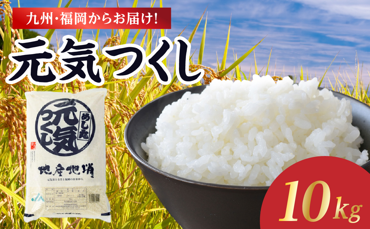 【限定価格】九州・福岡からお届け！ブランド米「元気つくし」 10kg(5㎏×2)  お米 米 コメ 白米 特A 直送 お弁当 おにぎり 炊きたて ツヤ 粘り もちもち 弾力 卵かけご飯 福岡県 八女市