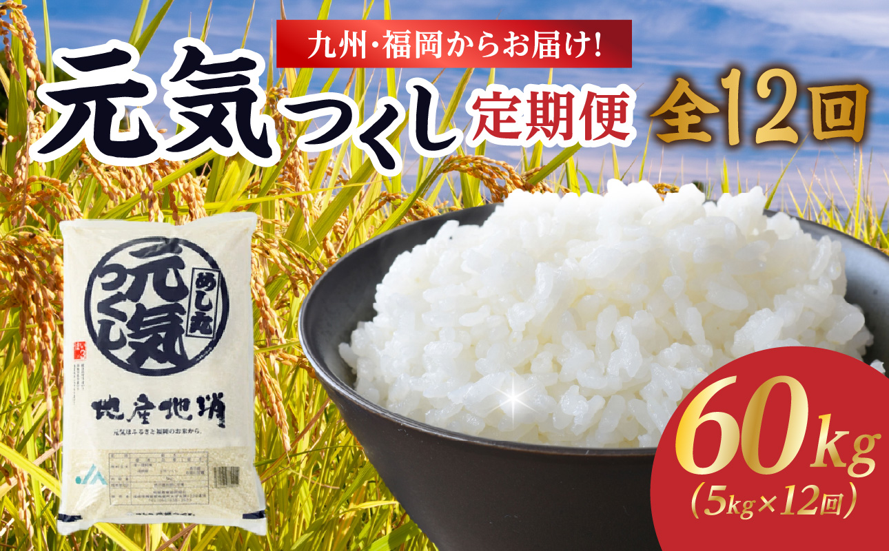 九州・福岡からお届け！ブランド米「元気つくし」定期便【全12回】 お米 米 コメ 白米 特A 直送 お弁当 おにぎり 炊きたて ツヤ 粘り もちもち 弾力 卵かけご飯 福岡県 八女市