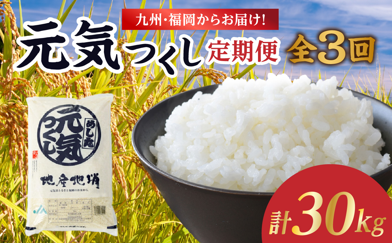 九州・福岡からお届け！ブランド米「元気つくし」定期便 10kg(5㎏×2)【全3回】  お米 米 コメ 白米 特A 直送 お弁当 おにぎり 炊きたて ツヤ 粘り もちもち 弾力 卵かけご飯 福岡県 八女市