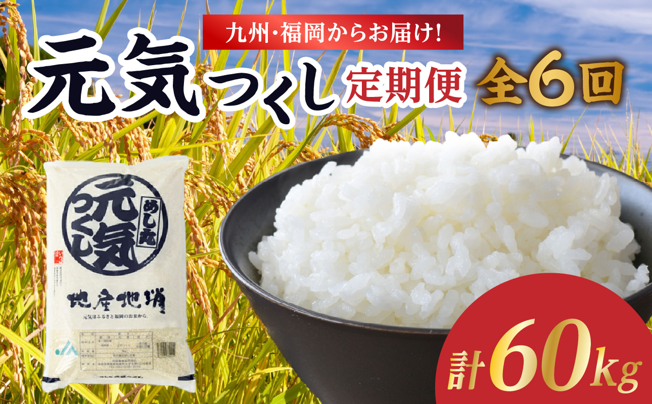 九州・福岡からお届け！ブランド米「元気つくし」定期便 10kg(5㎏×2)【全6回】  お米 米 コメ 白米 特A 直送 お弁当 おにぎり 炊きたて ツヤ 粘り もちもち 弾力 卵かけご飯 福岡県 八女市