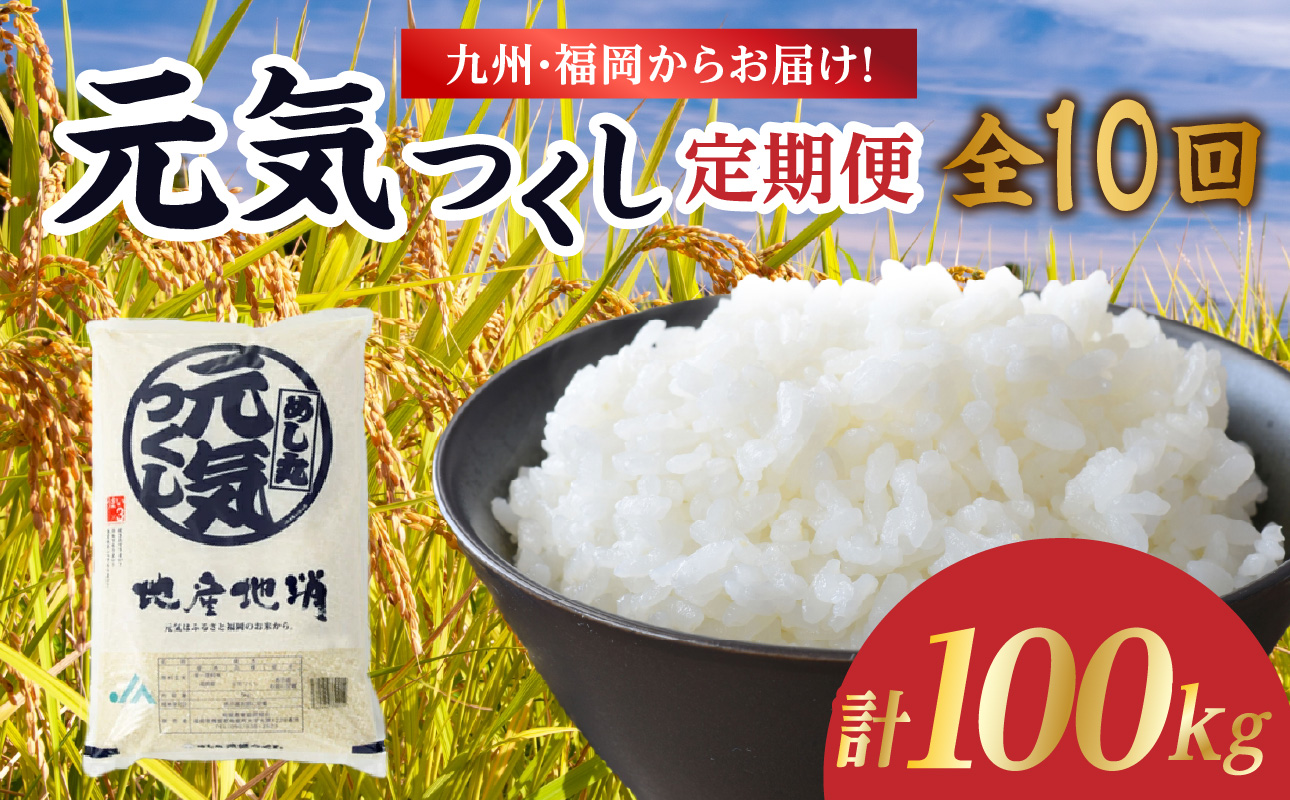 九州・福岡からお届け！ブランド米「元気つくし」定期便 10kg(5㎏×2)【全10回】  お米 米 コメ 白米 特A 直送 お弁当 おにぎり 炊きたて ツヤ 粘り もちもち 弾力 卵かけご飯 福岡県 八女市