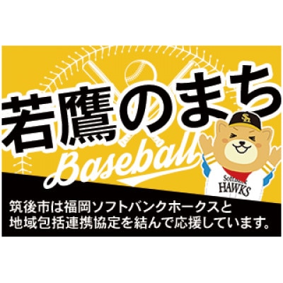 【数量限定】HAWKSコラボ筑後市オリジナルタオル(若鷹のまち・恋のくにセット)