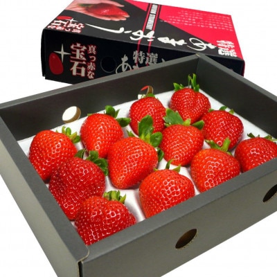 プレミアムあまおうギフト約840g(約420g×2箱)【配送不可地域：離島】