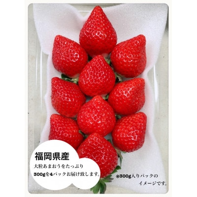 あまおう300g×4パック【配送不可地域：離島】