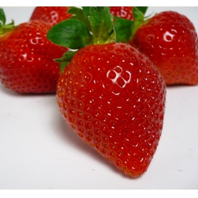 [秀品]あまおう250g×4パック(M～2Lサイズ)【配送不可地域：離島】