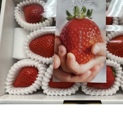 農園オリジナルブランド苺「みつのか」贈答用380g×2段【配送不可地域：離島・北海道・沖縄県・東北】