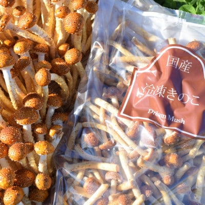 冷凍きのこセット250g×4種 計1kg(博多すぎたけ・しめじ・えのき・エリンギ)【配送不可地域：離島】