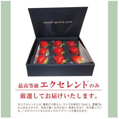 【贈答用】有機あまおう　9粒【配送不可地域：離島】