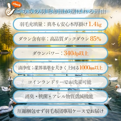 抗菌ダウン85% 1.4kg本厚掛け 洗える羽毛布団ダブル (アイボリー無地) 筑後七国羽毛ふとん