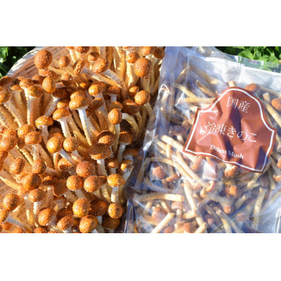 冷凍きのこセット 500g×4袋(博多すぎたけ・しめじ・えのき・エリンギ)【配送不可地域：離島】