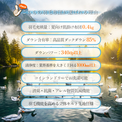抗菌ダウン85% 0.4kg 洗える肌掛け羽毛布団シングル (無地アイボリー)【筑後七国羽毛ふとん】
