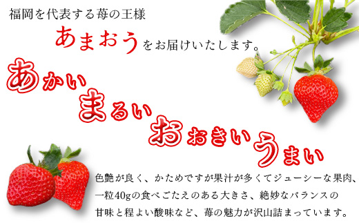 【2026年1月下旬～順次発送予定】福岡県産 あまおう 合計約1,080g 約270g×4パック【配送不可地域：離島】