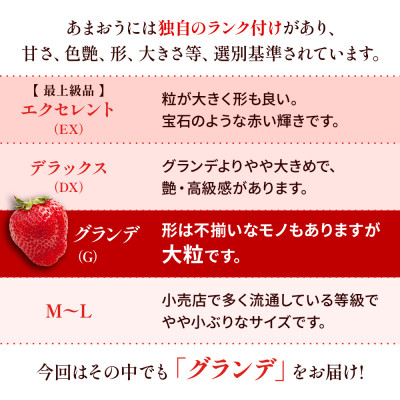 【12月より順次発送】福岡県産 あまおう 1000g(250g×4パック)(筑後市)【配送不可地域：離島】