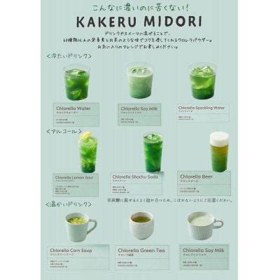 【毎月定期便】KAKERU MIDORI 20包×2袋全3回