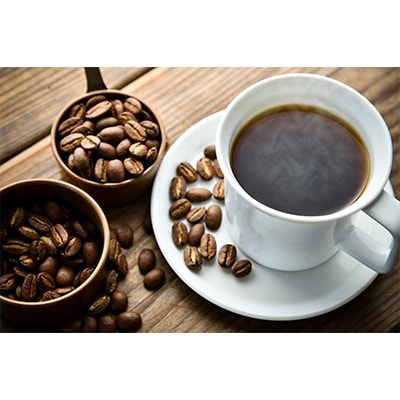 2023年7月発送開始『定期便』LittleMorrow(豆)全6回