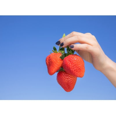 いちごファームきららのあまおう　約1140g(約285g×4パック)(筑後市)【配送不可地域：離島・北海道・沖縄県】