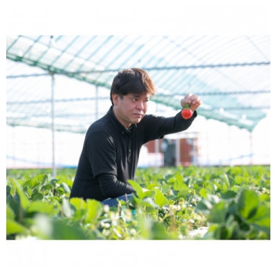 いちごファームキララの冷凍あまおう 2kg(500g×4袋)(筑後市)【配送不可地域：離島】