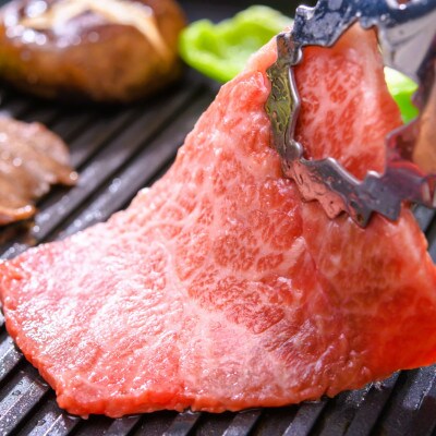 【A4～A5】博多和牛赤身モモ焼肉用　500g(筑後市)【配送不可地域：離島】