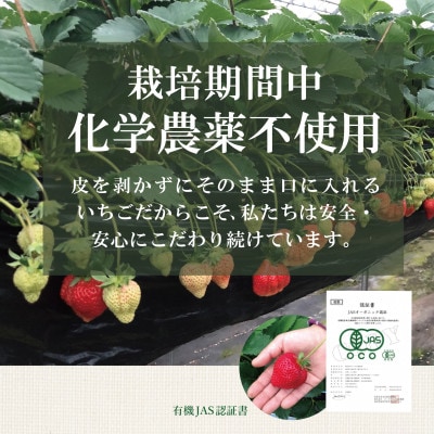 【贈答用】有機あまおう　9粒【配送不可地域：離島】