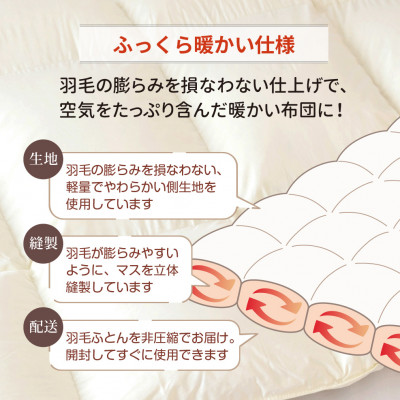 抗菌ダウン85% 0.4kg 洗える肌掛け羽毛布団シングル (無地アイボリー)【筑後七国羽毛ふとん】