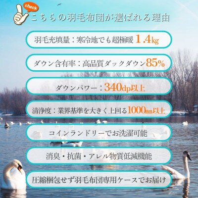 抗菌ダウン85%1.4kg本厚掛け羽毛布団ダブル(ピンク系柄お任せ)【筑後七国羽毛ふとん】