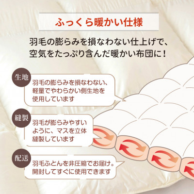 抗菌ダウン85% 0.3kg 洗える肌掛け羽毛布団シングル (ピンク系)【筑後七国羽毛ふとん】