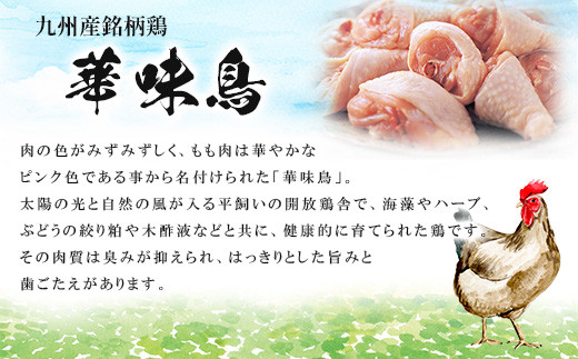 博多華味鳥　水たきセット (H-A1)(筑後市)【配送不可地域：離島】