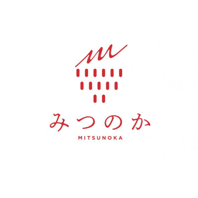 農園オリジナルブランド苺「みつのか」贈答用380g×2段【配送不可地域：離島・北海道・沖縄県・東北】