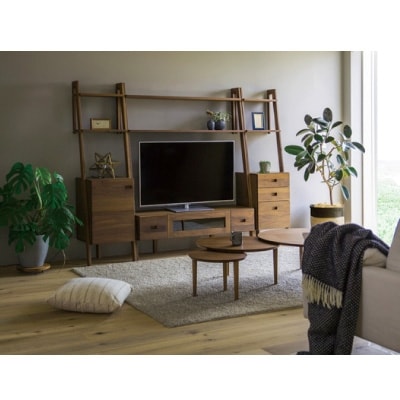 レイリア　 154TVボードWN