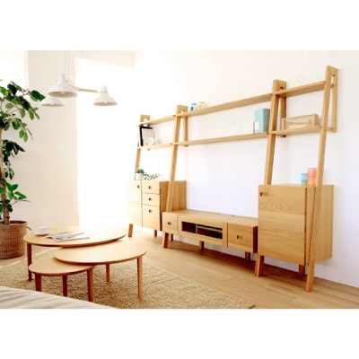 レイリア　 118TVボードWO