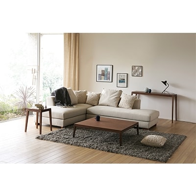 モル 120×40コンソールテーブル ウォルナット【高野木工】