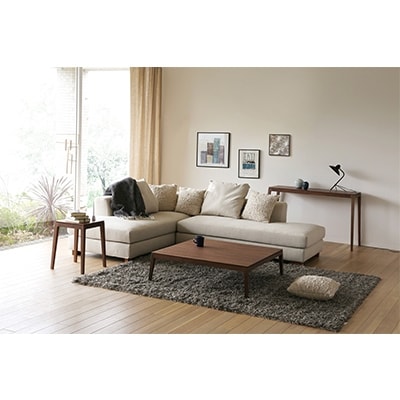 モル 110×50ローテーブル ウォルナット【高野木工】