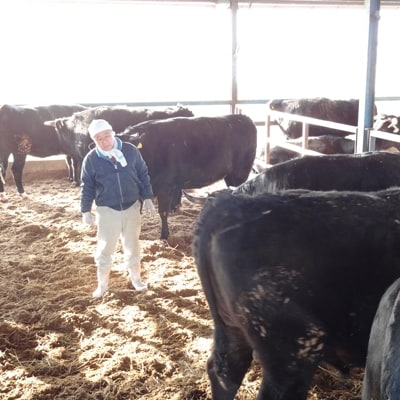 [筑後]船小屋牛サーロインステーキ 200g×5枚【配送不可地域：離島】