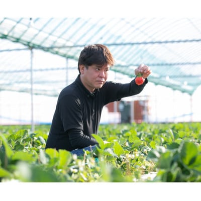 いちごファームきららのあまおう　約1140g(約285g×4パック)(筑後市)【配送不可地域：離島・北海道・沖縄県】