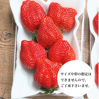 あまおう300g×4パック【配送不可地域：離島】