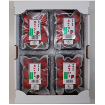 有機あまおう約250g×4パック【配送不可地域：離島】