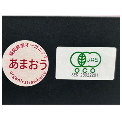 【贈答用】有機あまおう　9粒【配送不可地域：離島】
