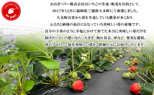【2026年1月下旬～順次発送予定】福岡県産 あまおう 合計約1,080g 約270g×4パック【配送不可地域：離島】